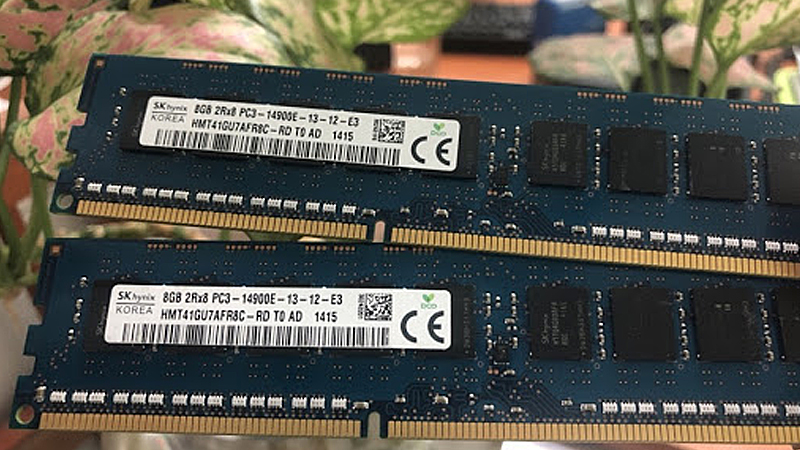 Vẻ ngoài của RAM Unbuffered ECC 